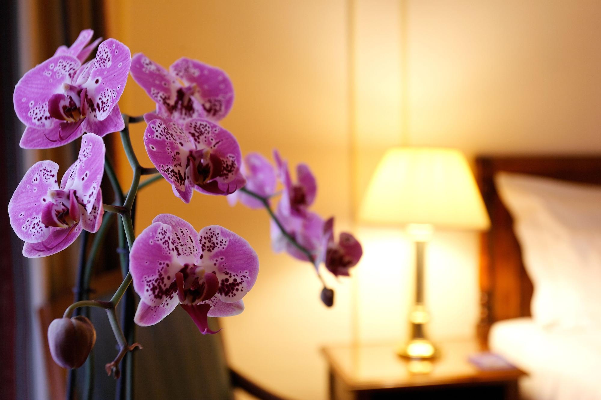 Hotel Le Plaza Bruselas